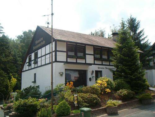 Schmallenberg-Oberkirchen Germany Discount Code Booking.com